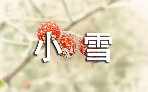 大班二十四节气《小雪》教案(精选18篇)
