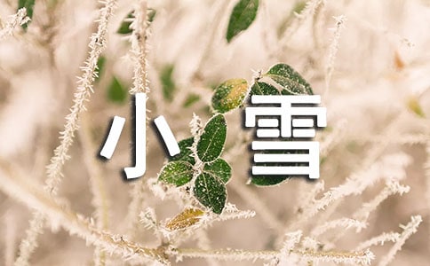 二十四节气小雪教案范文(精选5篇)