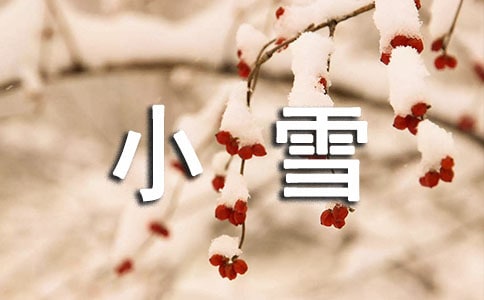 幼儿园语言教案小雪花
