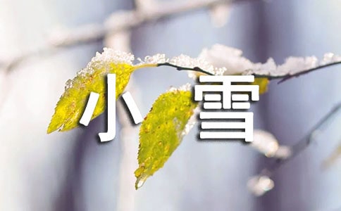二十四节气小雪科学教案