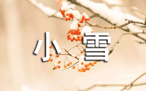 小雪节气主题领域教案