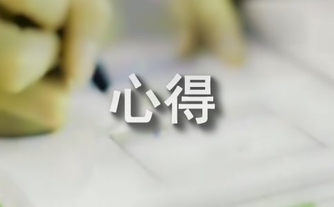 礼仪实训心得