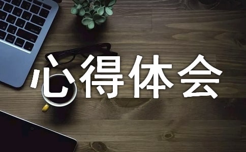 礼仪的心得体会