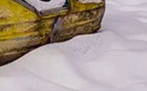 冬季雪灾应急预案