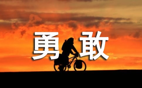 勇敢的小兔教案13篇