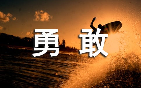 《勇敢的小海龟》教案