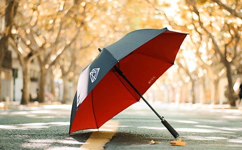 怎么去除雨伞上的污垢