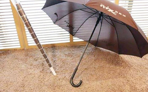 大班优质语言教案《黄雨伞》及活动反思