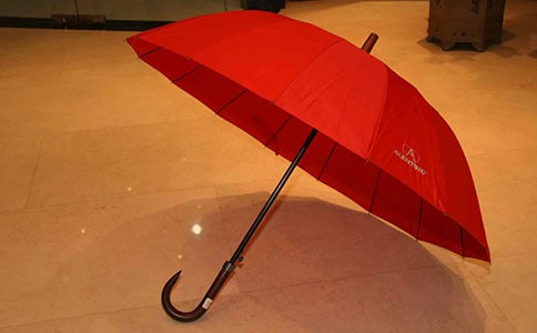 《怪雨伞》读后感范文通用