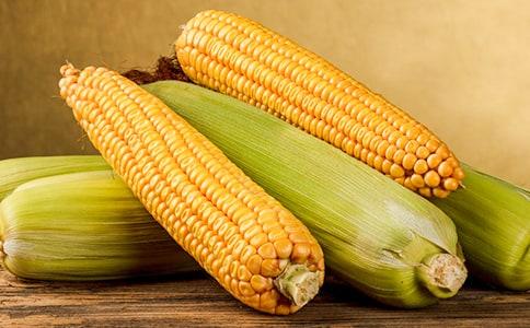 在康奈尔的玉米地里阅读及答案