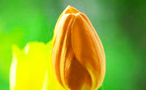������Ļ��ڹ���������ʲô
