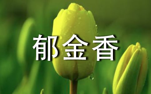 郁金香的花语是什么