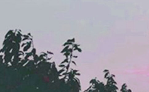 ��ѡ�����簲��������Ȧժ¼31��