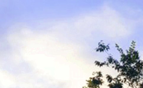 治愈早安感言200句