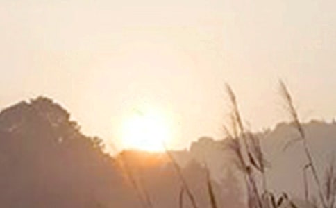关于治愈早安寄语汇总(通用160句)