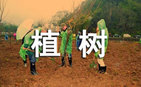 三年级植树教学反思
