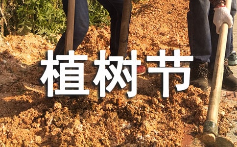 幼儿园大班植树节活动总结
