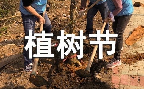 植树节创意活动方案