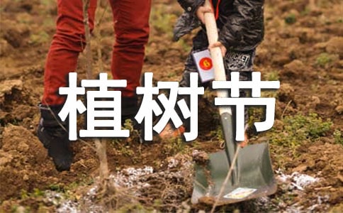 幼儿园植树节活动总结精选15篇