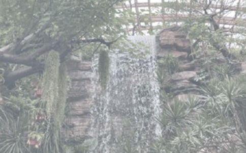 植物园观后感(通用15篇)