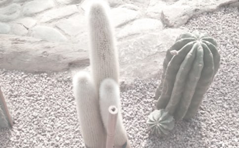 怎么到达北京植物园
