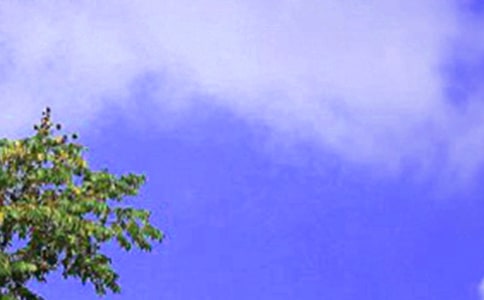 中午问候语