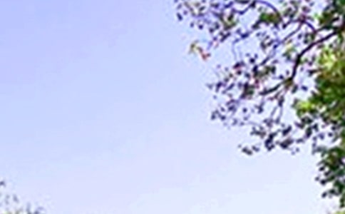 读《早晨从中午开始》有感