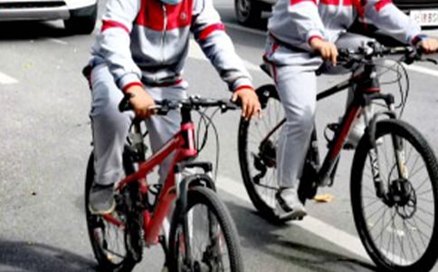 初中学生综合实践活动总结
