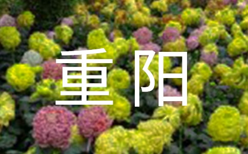 重阳主题演讲稿