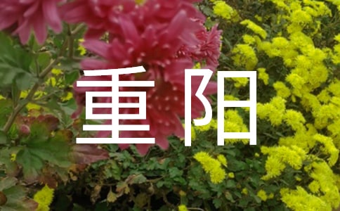 重阳活动主持稿