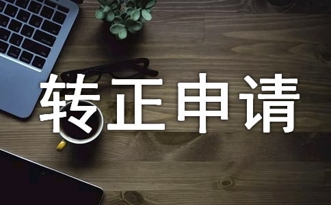(集合)转正申请书4篇
