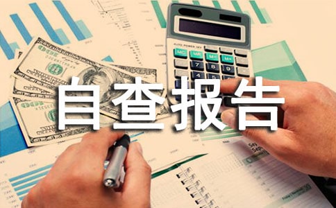 制度落实情况自查报告