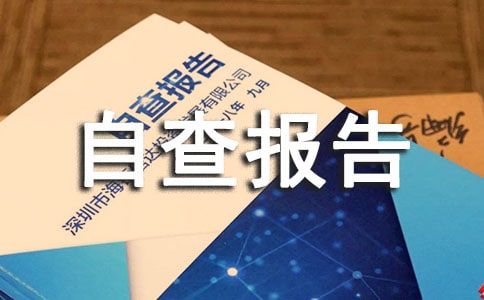 制度贯彻落实情况自查报告