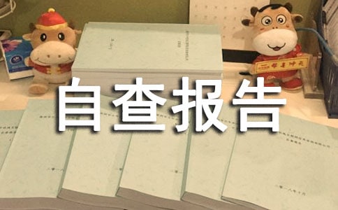 小学管理自查报告范文