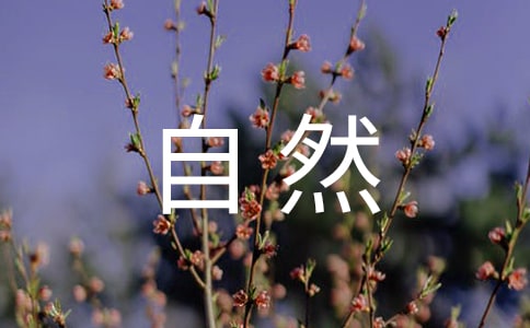 大自然的语言阅读答案