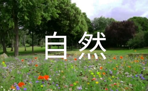 《大自然的语言》阅读及答案
