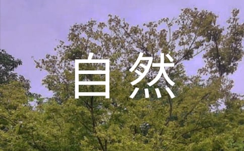 自然人像摄影技巧
