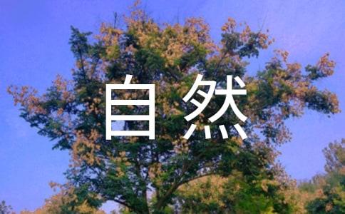 亲近大自然的唯美句子