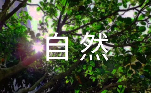 读《自然之道》有感