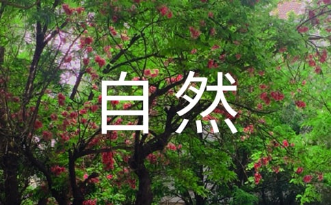《大自然的语言》阅读及答案(精华15篇)