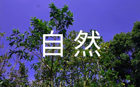 江北雪《高明的大自然》初中说明文阅读题及答案