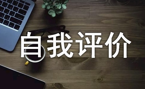 自我评价