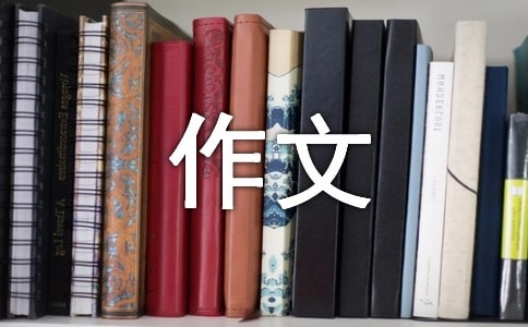 实用的礼仪的作文锦集6篇