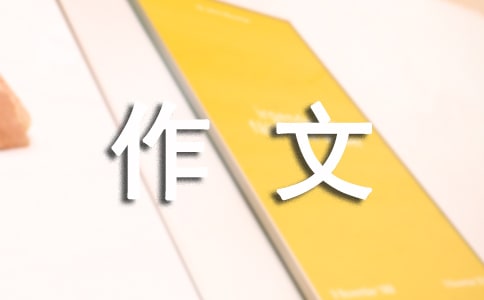 礼仪的作文