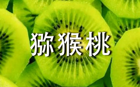 生活中如何挑选猕猴桃