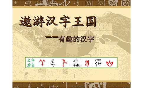《遨游汉字王国》读后感