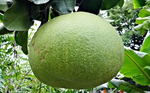 Ů�Գ�������ʲô�ô�