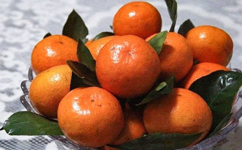 橘子味的夏天读后感