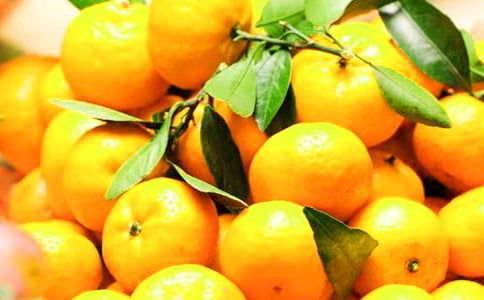 《橘子味的夏天》读后感(15篇)