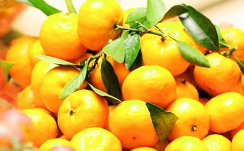 《橘子味的夏天》读后感